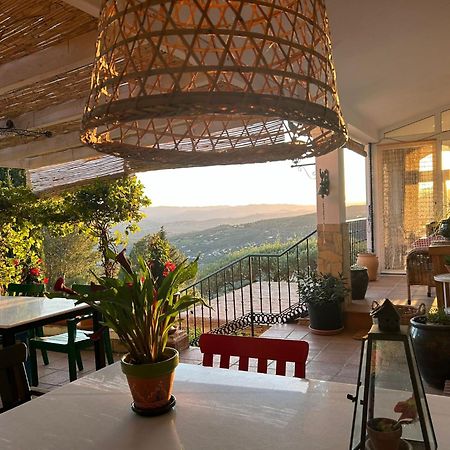 El Nispero Dulce Bed & Breakfast Alcaucin Ngoại thất bức ảnh
